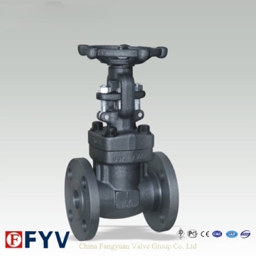 Flanged End Gate Valves 150lb~1500lb